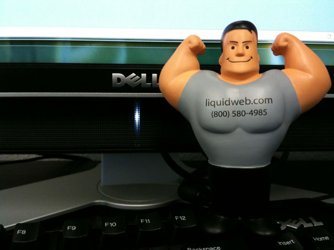 Liquid Web team at work