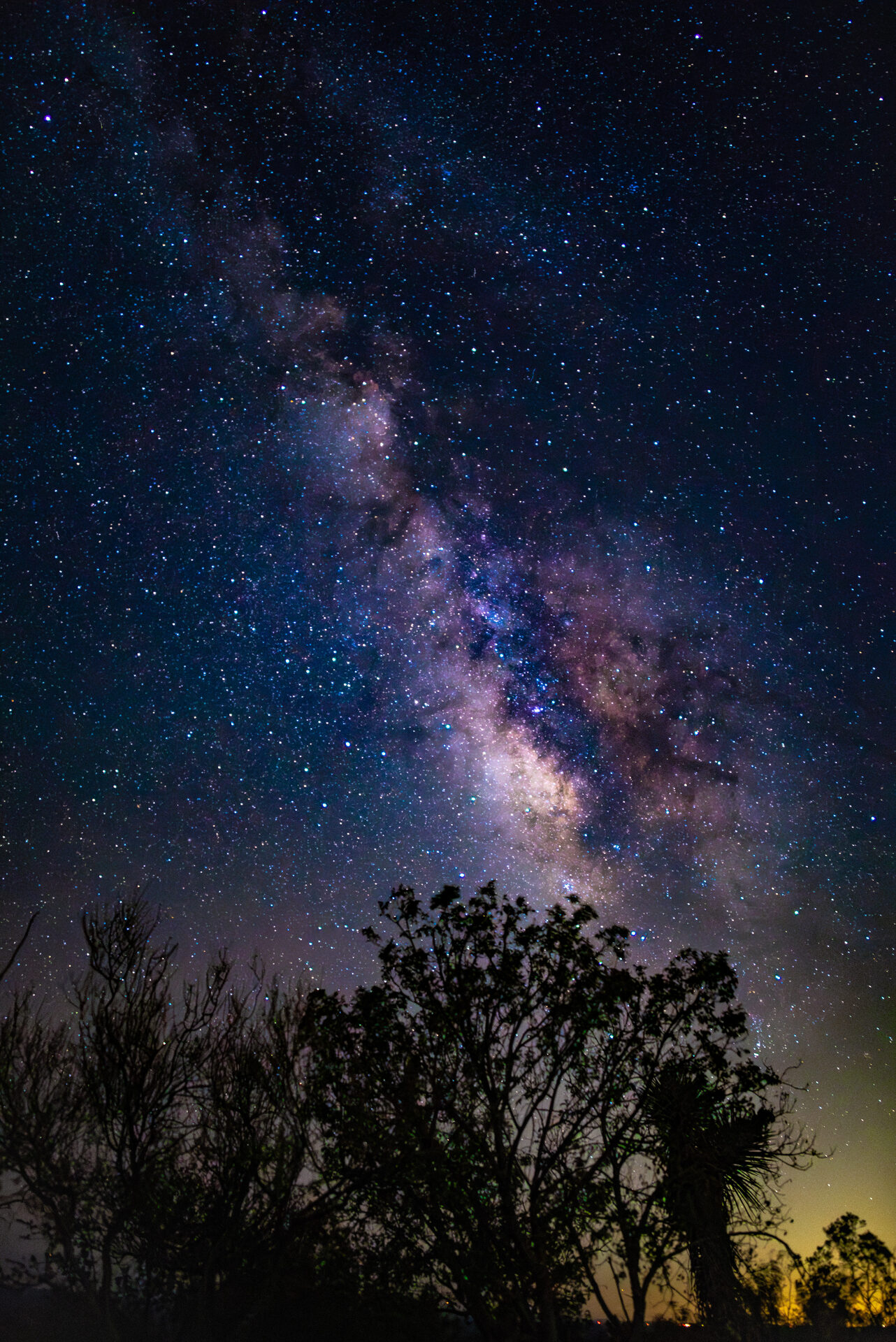 Night star photography - long exposure of the night sky